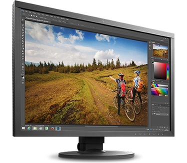 Eizo CS2420