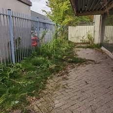 Afbeeldingslocatie: https://tweakers.net/i/_GMOHpZAwwnBFvY5kqeZdF5iztU=/232x232/filters:strip_icc():strip_exif()/f/image/43D4H5PI8TolbiIndonfyDKo.jpg?f=fotoalbum_tile