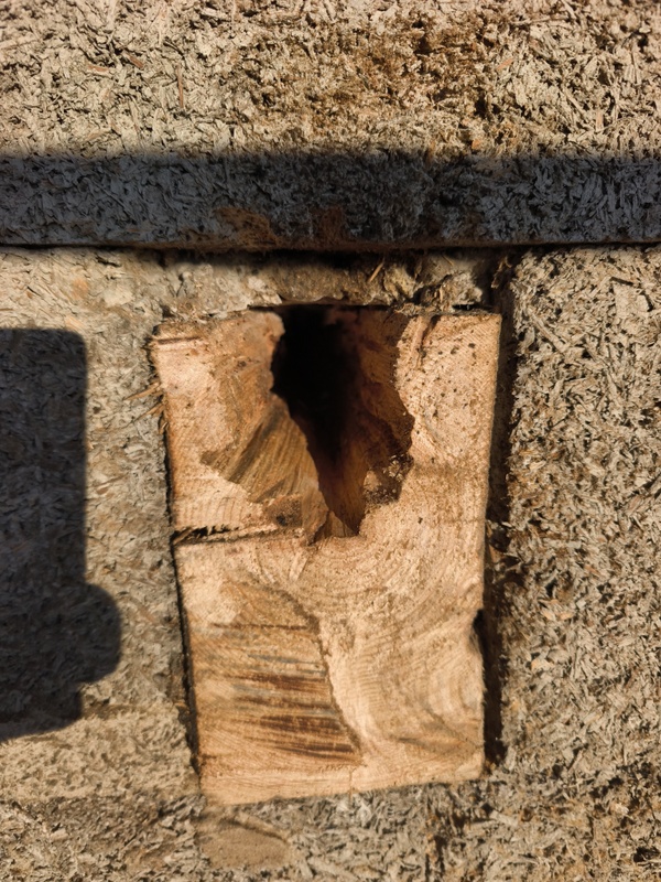 Afbeeldingslocatie: https://tweakers.net/i/_HVv7l_witYs8xwi5NrwuOuv7JE=/x800/filters:strip_icc():strip_exif()/f/image/6zAtcRNdayEADLQNQEmspZSr.jpg?f=fotoalbum_large