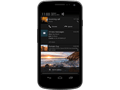Google Jelly Bean