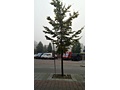 Fotosample N900