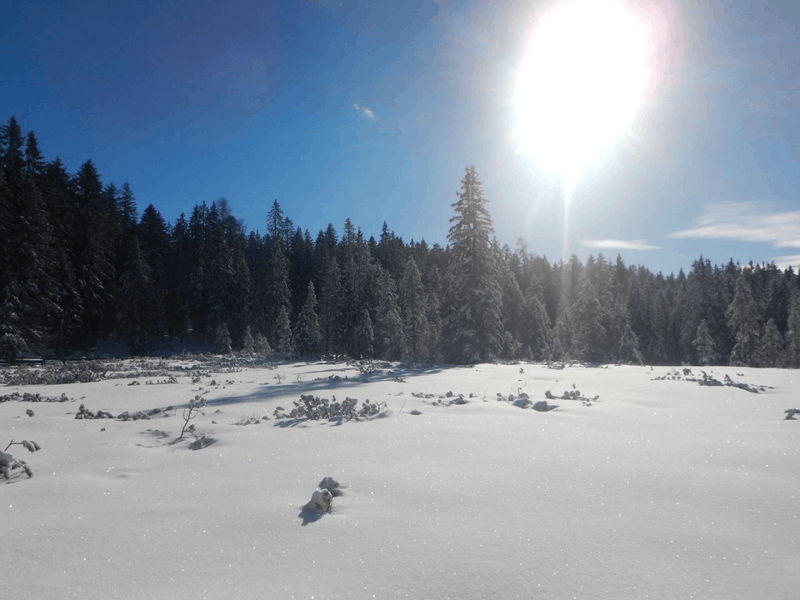 Afbeeldingslocatie: https://tweakers.net/i/_JcF3rVpAUs8_vXev-CZxhiKUnM=/800x/filters:strip_exif()/f/image/l5OY4dXuXdgQ35HVnfNiG2Ys.png?f=fotoalbum_large