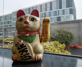 Cameratest Samsung Tab A11 en A11+ - Primair