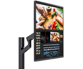 LG DualUp Monitor