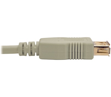 Tripp-Lite U024-006-BE