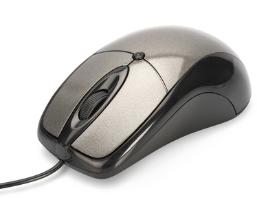 Assmann 81046