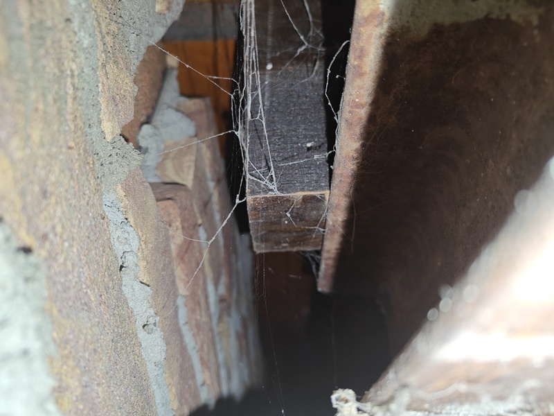 Afbeeldingslocatie: https://tweakers.net/i/_QMVQB-eRifpwdn4AaZcDSWLlpo=/800x/filters:strip_icc():strip_exif()/f/image/QXNm8PBpqEMGMy8MVZBoVrfQ.jpg?f=fotoalbum_large