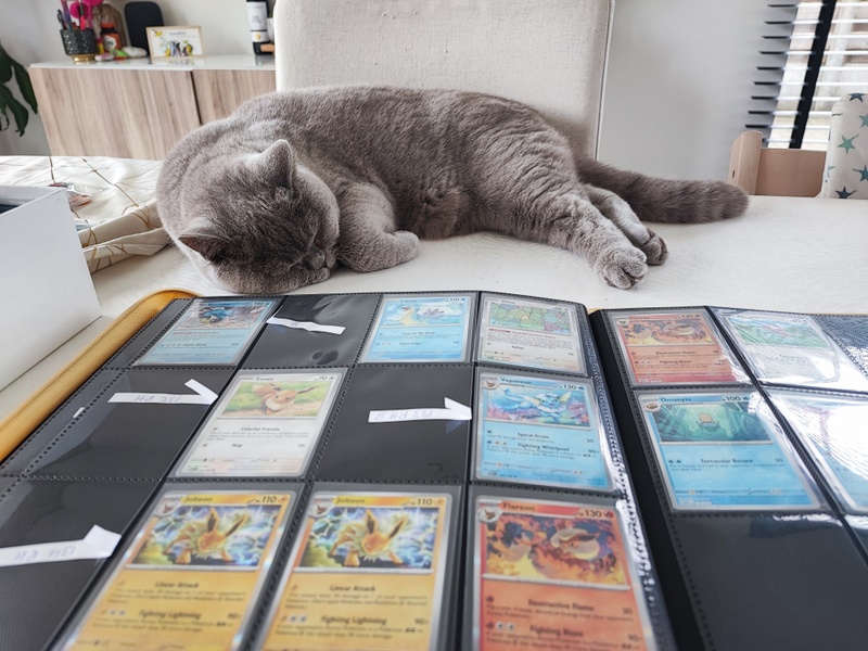 Afbeeldingslocatie: https://tweakers.net/i/_V_XoiYDUn1Nx6OyaBsvfUgxs1U=/800x/filters:strip_icc():strip_exif()/f/image/VCFflgSjorIFkkWGD9kYMDho.jpg?f=fotoalbum_large