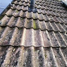 Afbeeldingslocatie: https://tweakers.net/i/_a9Y7Zh-4Vbf3mosCg4JmqHQSrk=/232x232/filters:strip_icc():strip_exif()/f/image/mEL5EsxdI1obKsMS4k1vGOo0.jpg?f=fotoalbum_tile