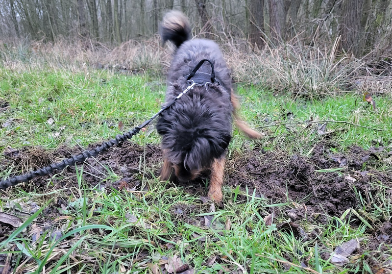 Afbeeldingslocatie: https://tweakers.net/i/_brTcm7BAT1p5Vz5W0xRONVAWOU=/800x/filters:strip_exif()/f/image/XxOzh4smVgzQcoeDlY0f1vG9.png?f=fotoalbum_large