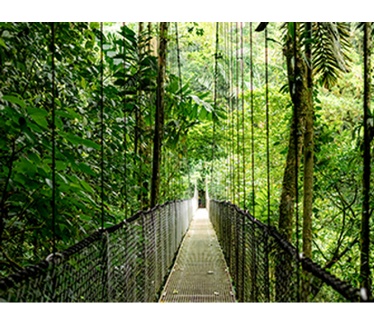 HP EliteBook 6 G1i 16 inch Notebook AI PC Wolf Pro Security Edition