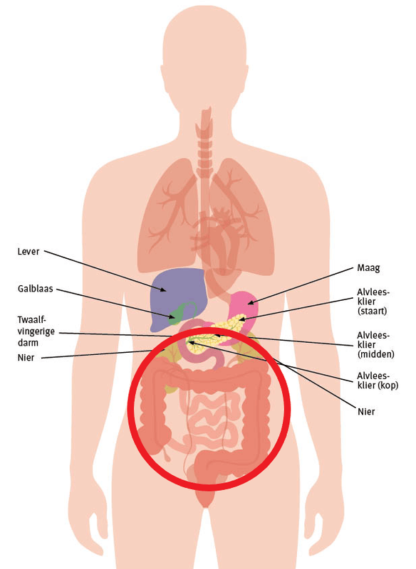 Afbeeldingslocatie: https://tweakers.net/i/_e1gCsWfdBs9PvoqazxFRsRNwC0=/x800/filters:strip_exif()/f/image/oEFh09vbOTDmW9J60FZdTSH3.png?f=fotoalbum_large