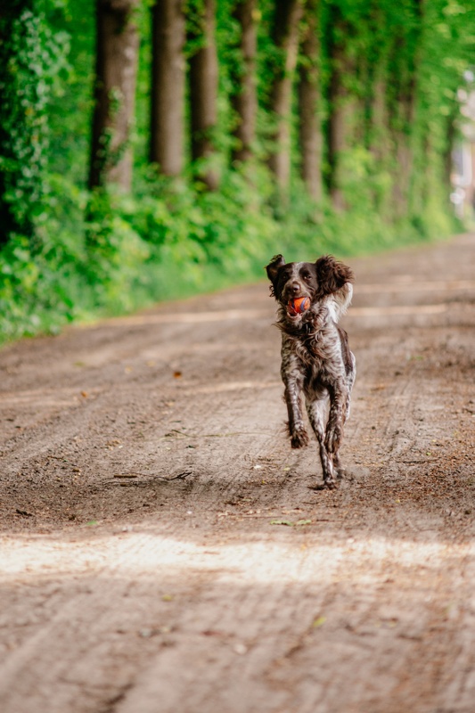 Afbeeldingslocatie: https://tweakers.net/i/_evx08X0bh-uqFvY8PnpbNsIicQ=/x800/filters:strip_icc():strip_exif()/f/image/Ddfc91EALmTqZMc9thLjtZhG.jpg?f=fotoalbum_large