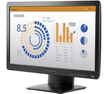 HP ProDisplay P202va Zwart