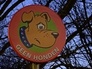 Cameratest Xiaomi 17 Ultra - Telecamera