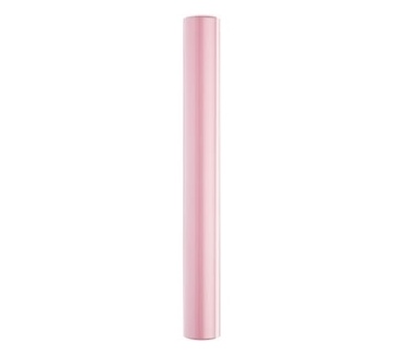 WD My Passport Essential 250GB Roze