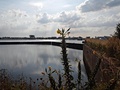 Foto gemaakt met LG Optimus G Pro