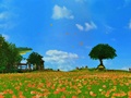 Eternal Sonata Gallery