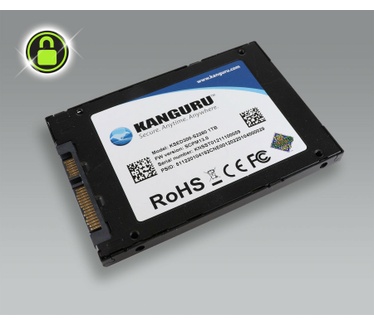 iStorage SED300