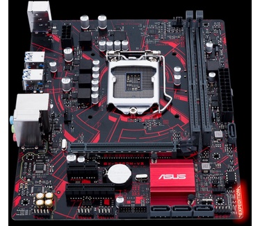 Asus Expedition EX-B360M-V3