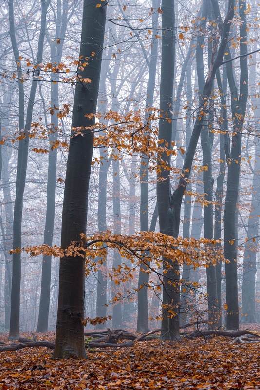 Afbeeldingslocatie: https://tweakers.net/i/_yyywyPjLhW4pamwtIEwkZiYIYU=/x800/filters:strip_icc():strip_exif()/f/image/NdZgJcCUqjO0s9GveGZVwBPv.jpg?f=fotoalbum_large
