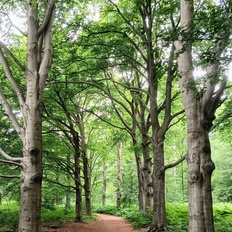 Afbeeldingslocatie: https://tweakers.net/i/_zAszDCg3N5Mp0nVMbrWM5AwknY=/232x232/filters:strip_icc():strip_exif()/f/image/Si2wiRQp8HbaJ9R2y1gOiSWD.jpg?f=fotoalbum_tile