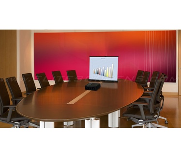 Elite Screens PicoScreen