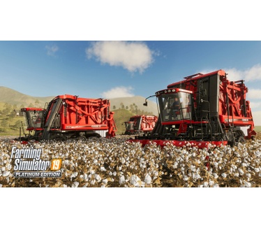Farming Simulator 19: Platinum Edition, Windows