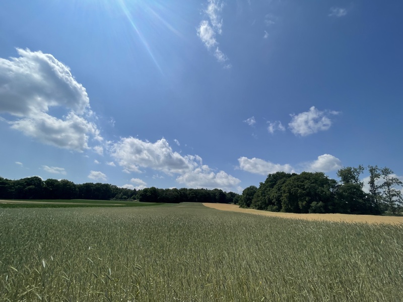 Afbeeldingslocatie: https://tweakers.net/i/a3XupNEX7sXC4jplRTh6-1r98hg=/800x/filters:strip_icc():strip_exif()/f/image/sejHV6o1Ahe2rjmLmvIhKi7a.jpg?f=fotoalbum_large
