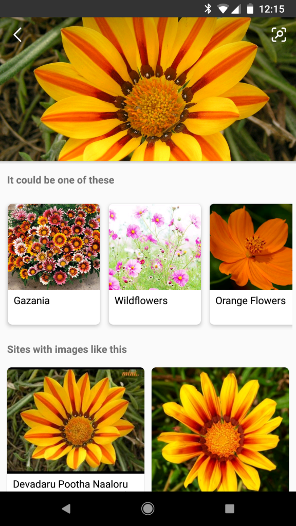 Bing visual search