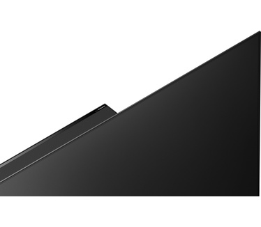 Panasonic TX-65JZW2004 Zwart