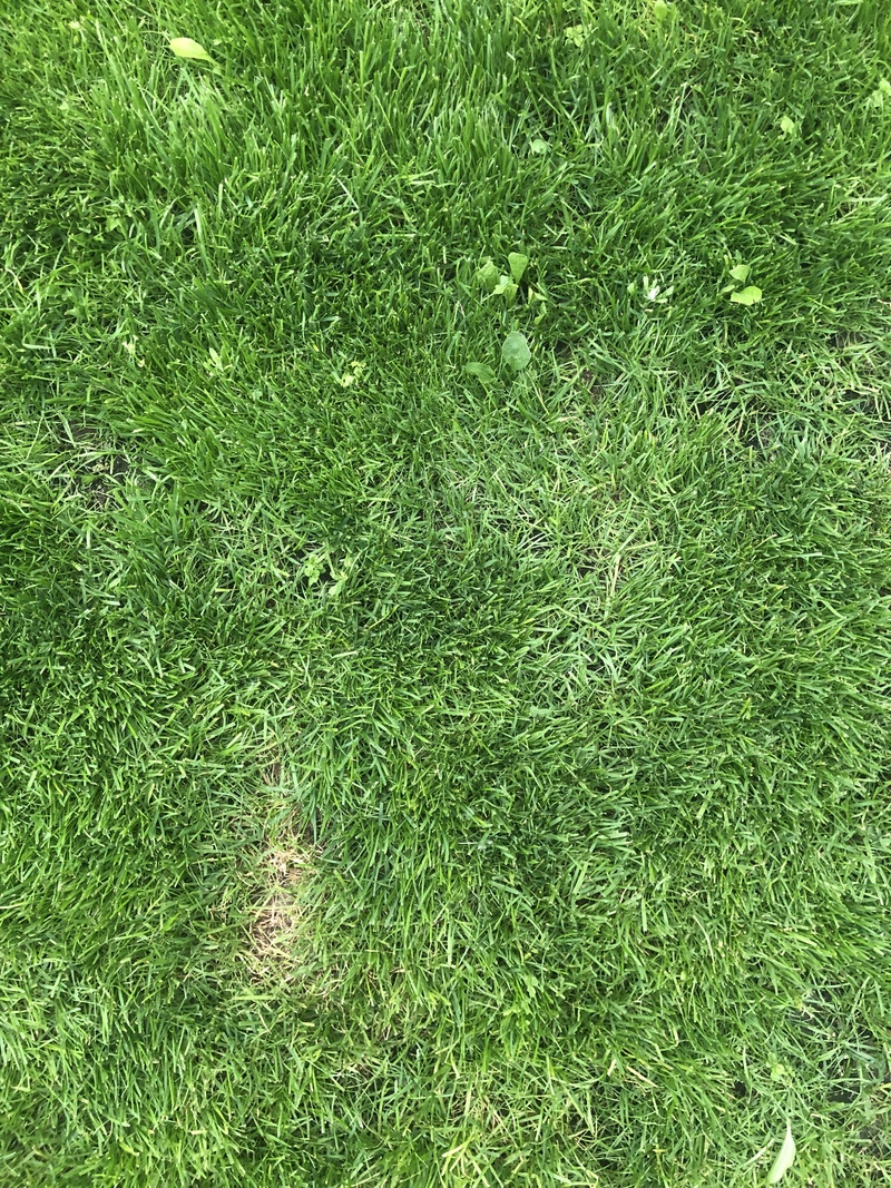 Afbeeldingslocatie: https://tweakers.net/i/aAN9UNXOI3lhd-ydrV1rHStD2qo=/800x/filters:strip_icc():strip_exif()/f/image/JmOO7jMANEuwBQQih97t6Kws.jpg?f=fotoalbum_large