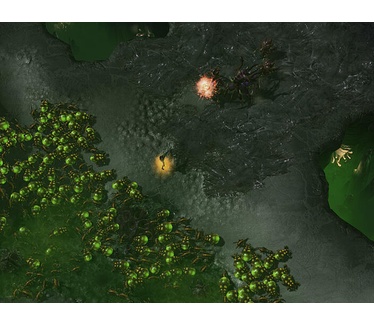 StarCraft II: Heart of the Swarm, Windows