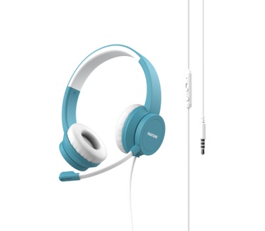 Pantone PT-WDH002GY2220