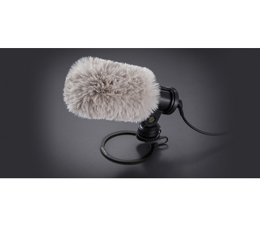 AVerMedia Live Streamer MIC