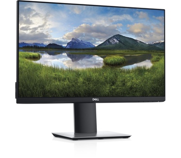 Dell P2319H