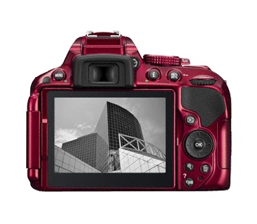Nikon D5300 + AF-S DX NIKKOR 18-55mm f/3.5-5.6G VR II Rood