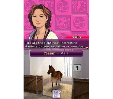 Horse Life 3