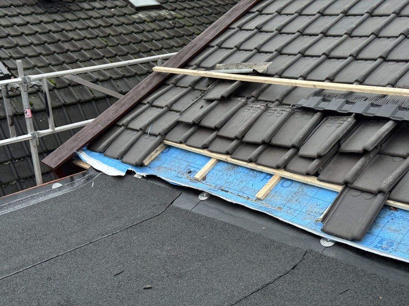 Afbeeldingslocatie: https://tweakers.net/i/aI2QoGluhhbBBvmHJN6IZVaampY=/800x/filters:strip_icc():strip_exif()/f/image/POSpuN9mhT7DY5T9vBaReuzn.jpg?f=fotoalbum_large