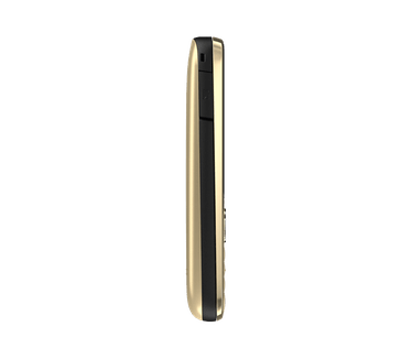 Nokia C2-01 Goud