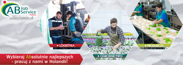 Afbeeldingslocatie: https://tweakers.net/i/aMhxGDg17F3qwdXeuyoCHGXfn8k=/fit-in/4000x4000/filters:no_upscale():strip_exif()/f/image/gweoa0ITcihrjdAzjlVkrk3W.png?f=user_large