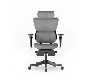 FlexiSpot Ergonomische bureaustoel C7 Max, met voetensteun, Grijs frame