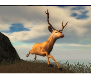 North American Hunting Extravaganza