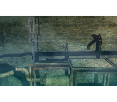 A Shadow's Tale