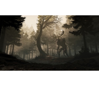 Greedfall, Xbox One