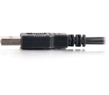 CablesToGo 2m USB 2.0 A Cable M