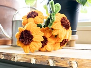 Xiaomi 17 Ultra - 12MP RAW