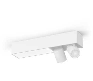 Philips Centris, 2-lichts plafondlamp