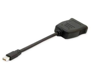 Fujitsu Mini DisplayPort/DVI-D