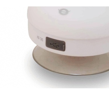 Conceptronic Draadloze waterbestendige zuignapluidspreker